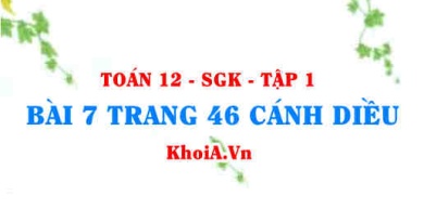 Bài 7 trang 46 Toán 12 tập 1 Cánh Diều